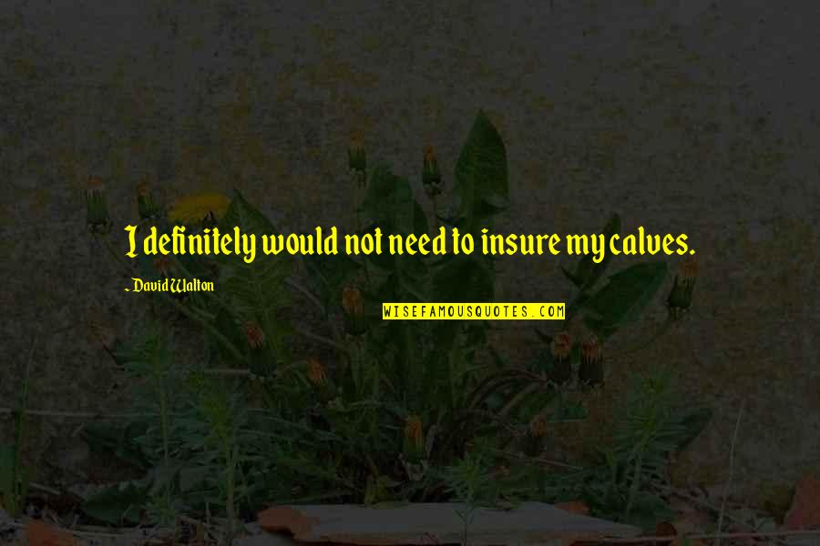 Beneath These Eyes Quotes By David Walton: I definitely would not need to insure my