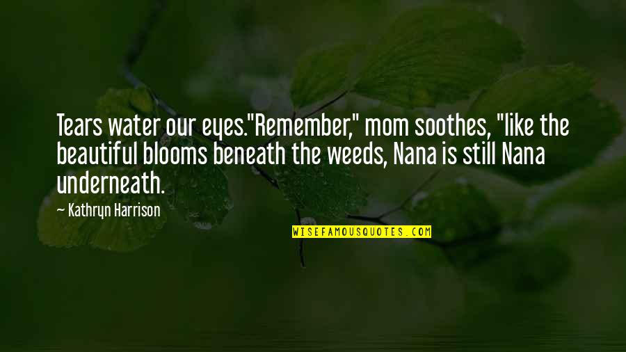 Beneath These Eyes Quotes By Kathryn Harrison: Tears water our eyes."Remember," mom soothes, "like the