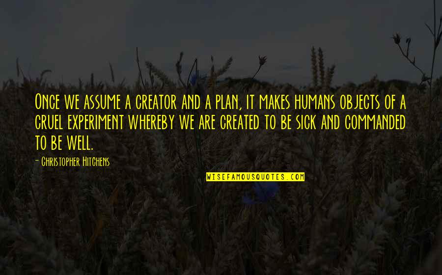 Beneatha Wanting To Be A Doctor Quotes By Christopher Hitchens: Once we assume a creator and a plan,