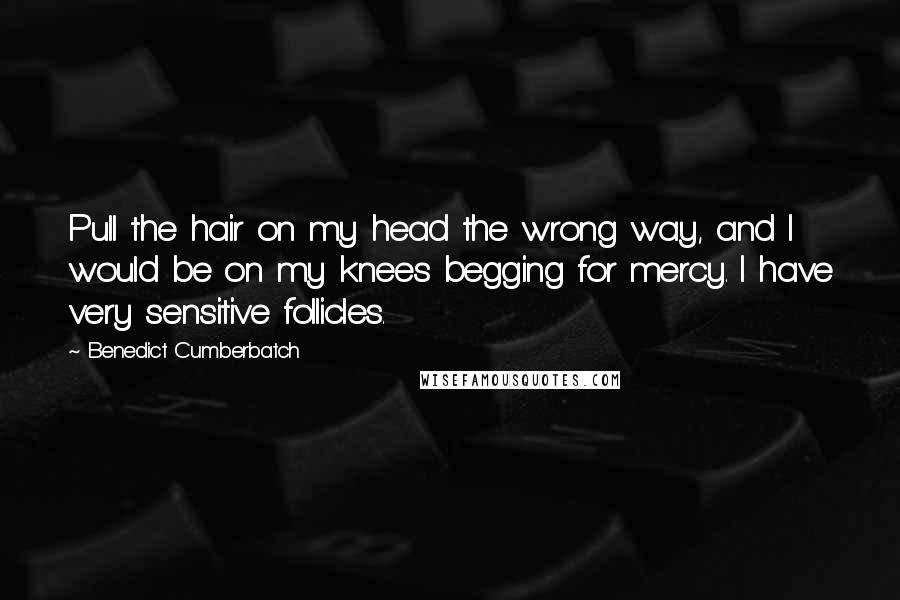 Benedict Cumberbatch quotes: Pull the hair on my head the wrong way, and I would be on my knees begging for mercy. I have very sensitive follicles.