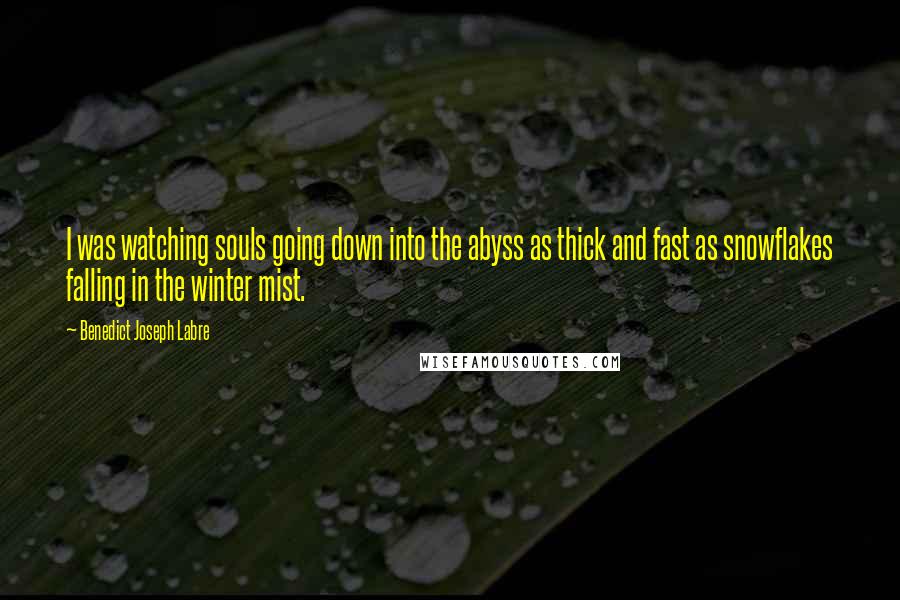 Benedict Joseph Labre quotes: I was watching souls going down into the abyss as thick and fast as snowflakes falling in the winter mist.