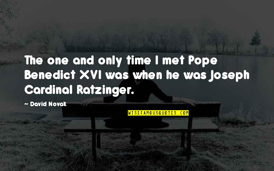 Benedict Quotes By David Novak: The one and only time I met Pope