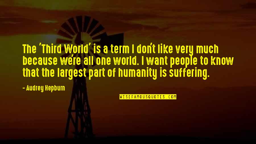 Benefitting Quotes By Audrey Hepburn: The 'Third World' is a term I don't