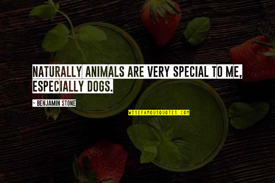 Benelli Motorcycles Quotes By Benjamin Stone: Naturally animals are very special to me, especially