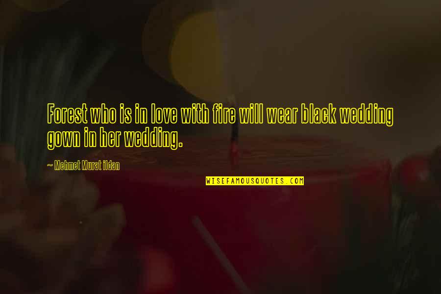 Benets Nursery Quotes By Mehmet Murat Ildan: Forest who is in love with fire will Benets Nursery Quotes By Mehmet Murat Ildan: Forest who is in love with fire will