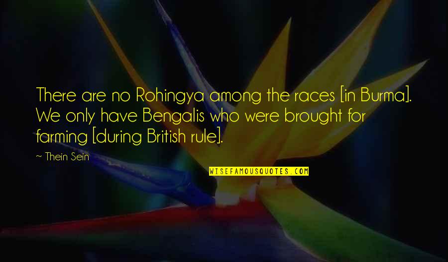 Bengalis Quotes By Thein Sein: There are no Rohingya among the races [in