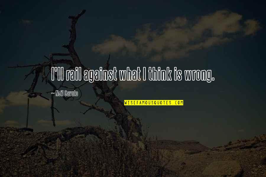 Beniamino Barrese Quotes By Neil Cavuto: I'll rail against what I think is wrong.