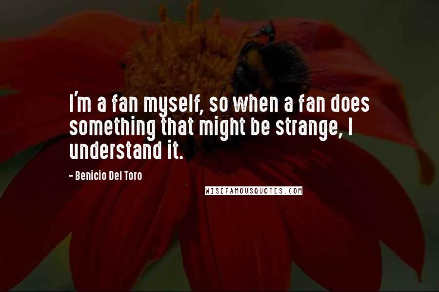 Benicio Del Toro quotes: I'm a fan myself, so when a fan does something that might be strange, I understand it.