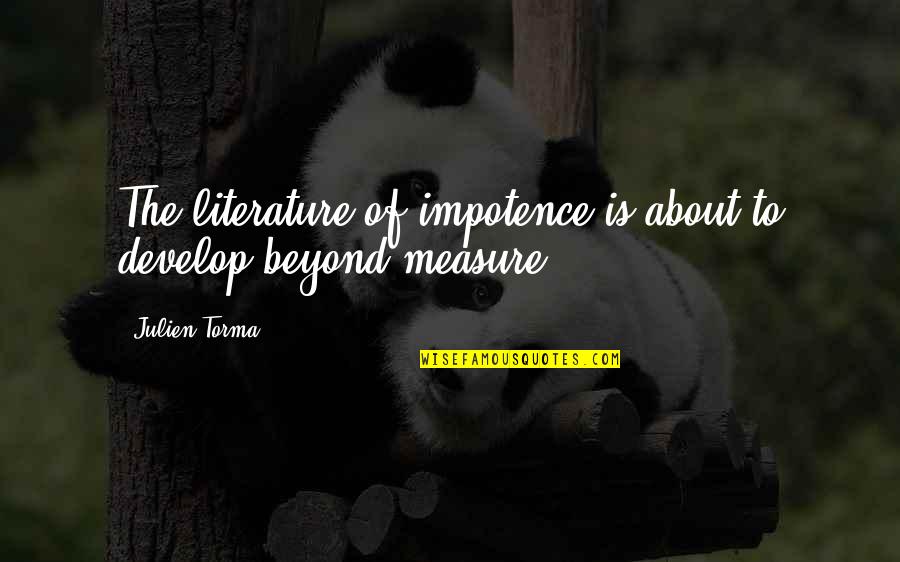 Benilda Resort Quotes By Julien Torma: The literature of impotence is about to develop