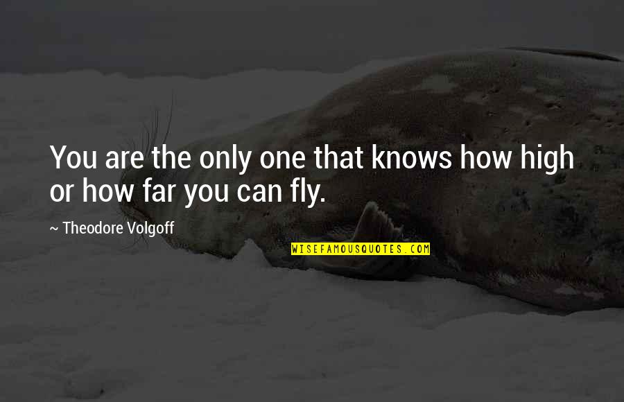 Benin Art Quotes By Theodore Volgoff: You are the only one that knows how Benin Art Quotes By Theodore Volgoff: You are the only one that knows how