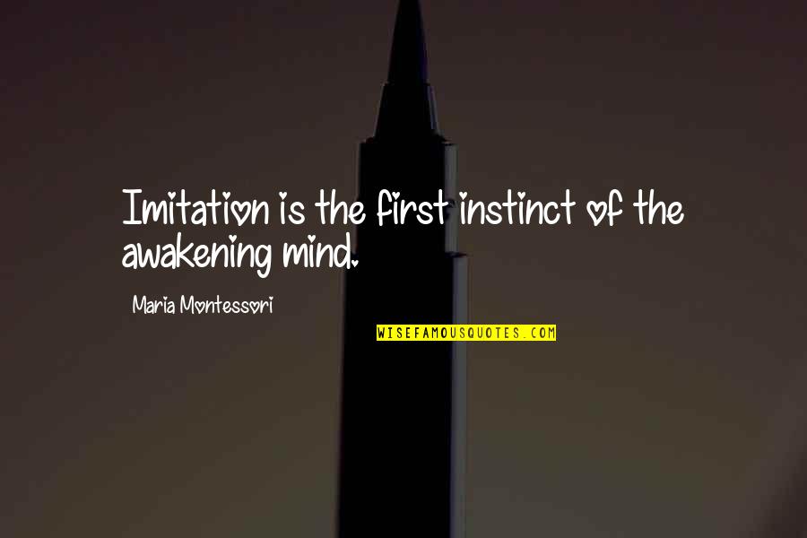 Benita Alexander Quotes By Maria Montessori: Imitation is the first instinct of the awakening