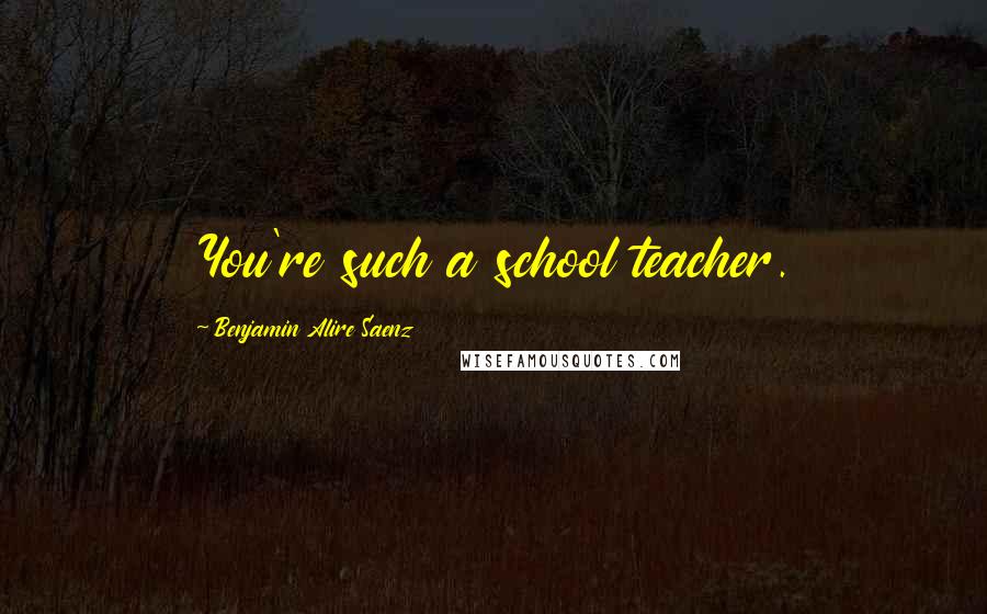 Benjamin Alire Saenz quotes: You're such a school teacher.