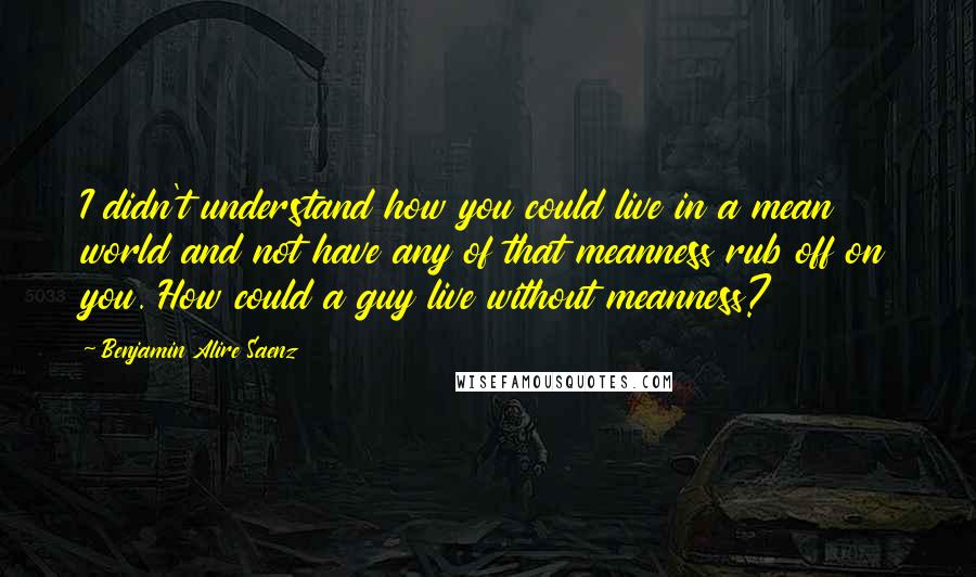 Benjamin Alire Saenz quotes: I didn't understand how you could live in a mean world and not have any of that meanness rub off on you. How could a guy live without meanness?