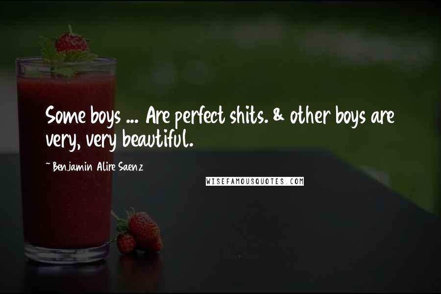 Benjamin Alire Saenz quotes: Some boys ... Are perfect shits. & other boys are very, very beautiful.