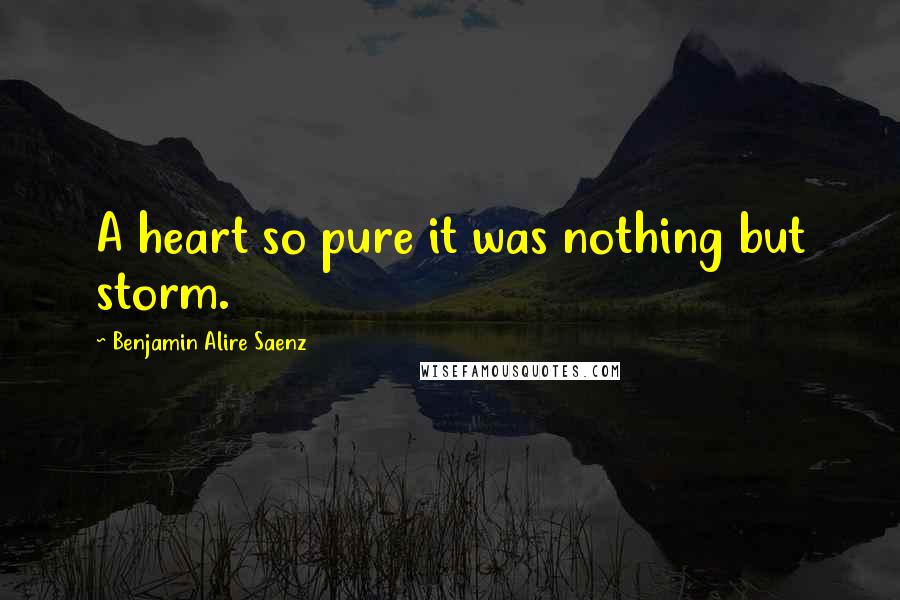 Benjamin Alire Saenz quotes: A heart so pure it was nothing but storm.