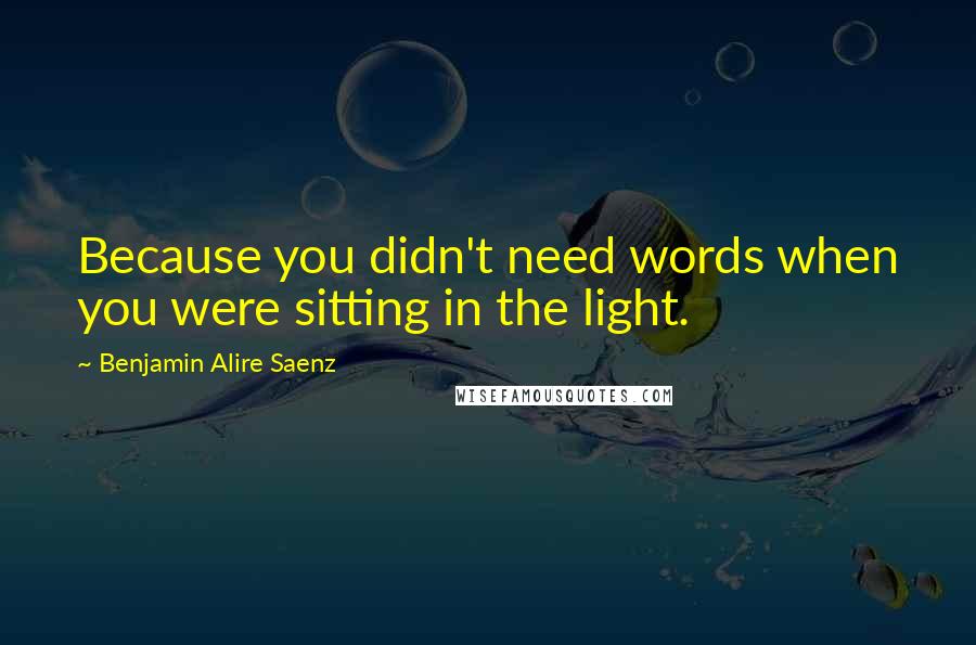 Benjamin Alire Saenz quotes: Because you didn't need words when you were sitting in the light.