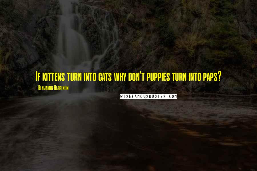 Benjamin Harrison quotes: If kittens turn into cats why don't puppies turn into paps?
