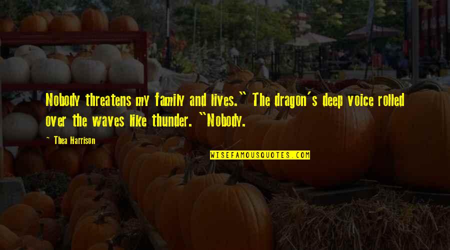 Benjamin Rush Milam Quotes By Thea Harrison: Nobody threatens my family and lives." The dragon's