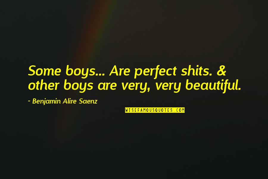 Benjamin Saenz Quotes By Benjamin Alire Saenz: Some boys... Are perfect shits. & other boys