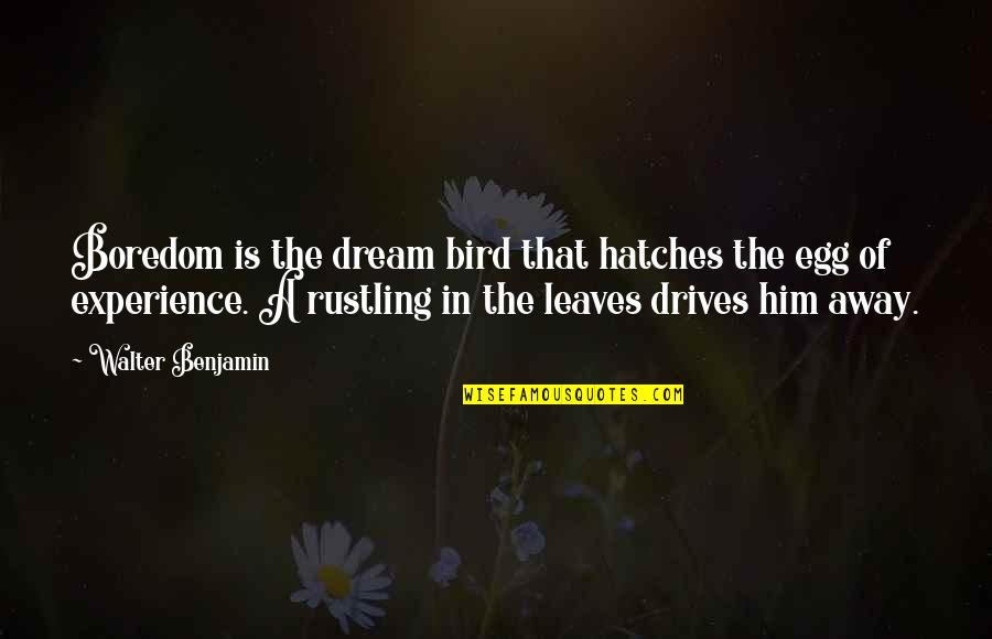 Benjamin Walter Quotes By Walter Benjamin: Boredom is the dream bird that hatches the