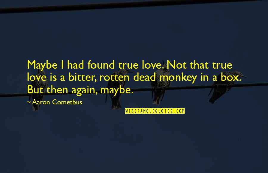 Benka Pulko Quotes By Aaron Cometbus: Maybe I had found true love. Not that Benka Pulko Quotes By Aaron Cometbus: Maybe I had found true love. Not that