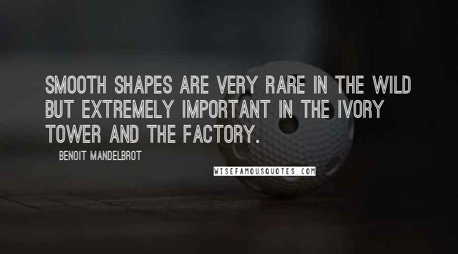 Benoit Mandelbrot quotes: Smooth shapes are very rare in the wild but extremely important in the ivory tower and the factory.