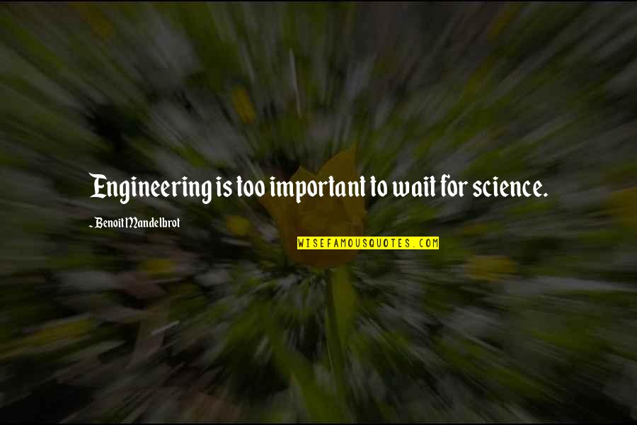 Benoit Quotes By Benoit Mandelbrot: Engineering is too important to wait for science. Benoit Quotes By Benoit Mandelbrot: Engineering is too important to wait for science.