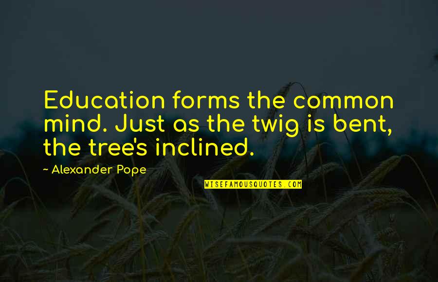 Bent As Quotes By Alexander Pope: Education forms the common mind. Just as the