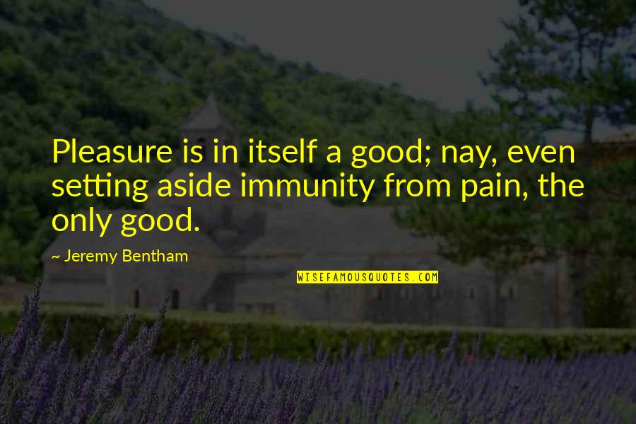 Bentham Quotes By Jeremy Bentham: Pleasure is in itself a good; nay, even