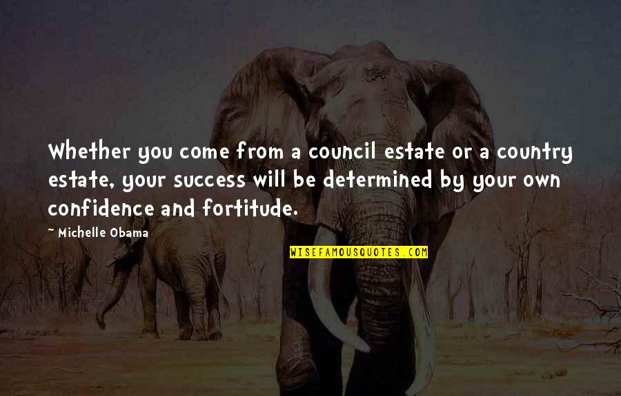 Bentley Drummle And Estella Quotes By Michelle Obama: Whether you come from a council estate or