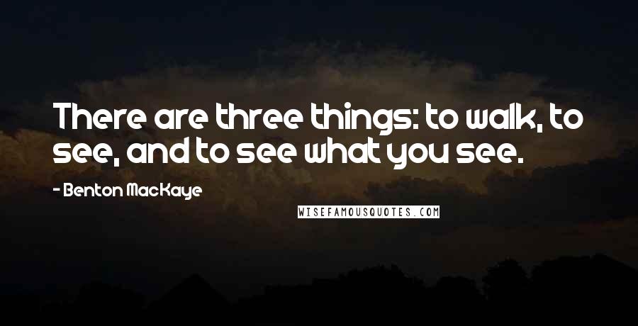 Benton MacKaye quotes: There are three things: to walk, to see, and to see what you see.