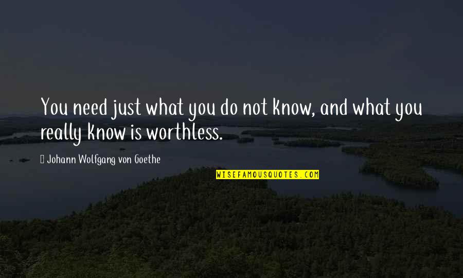 Benua Terluas Quotes By Johann Wolfgang Von Goethe: You need just what you do not know,