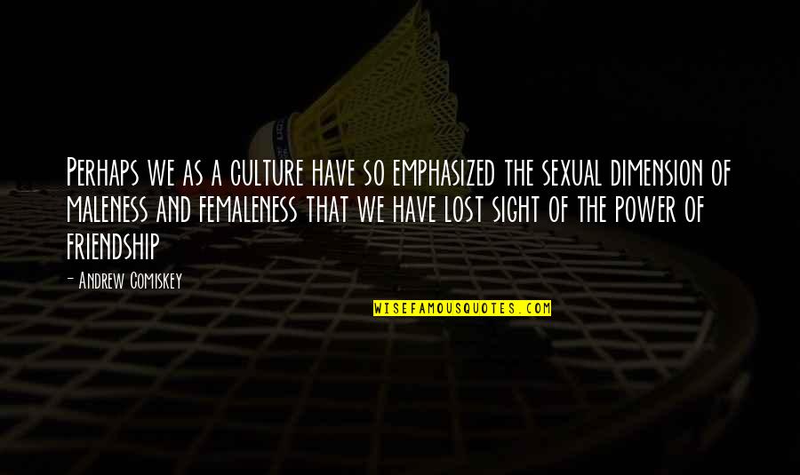 Benyamin Film Quotes By Andrew Comiskey: Perhaps we as a culture have so emphasized