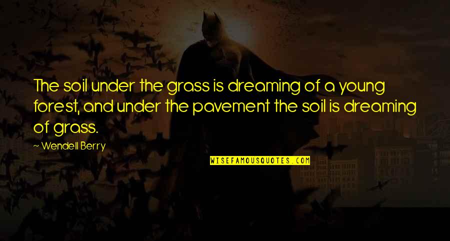 Benzo Quotes By Wendell Berry: The soil under the grass is dreaming of