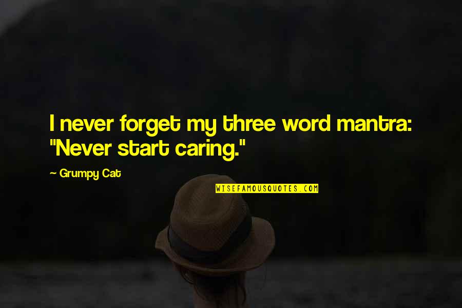 Beocming Quotes By Grumpy Cat: I never forget my three word mantra: "Never