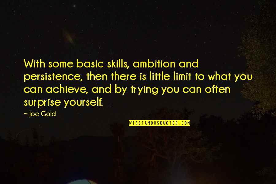 Ber Nycaf Quotes By Joe Gold: With some basic skills, ambition and persistence, then