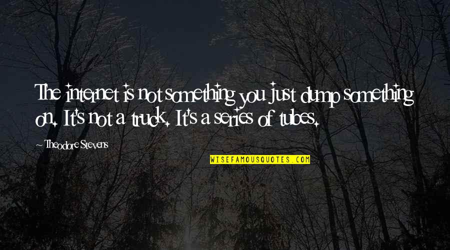 Beragam Agama Quotes By Theodore Stevens: The internet is not something you just dump Beragam Agama Quotes By Theodore Stevens: The internet is not something you just dump