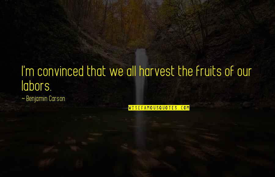 Beraita Quotes By Benjamin Carson: I'm convinced that we all harvest the fruits