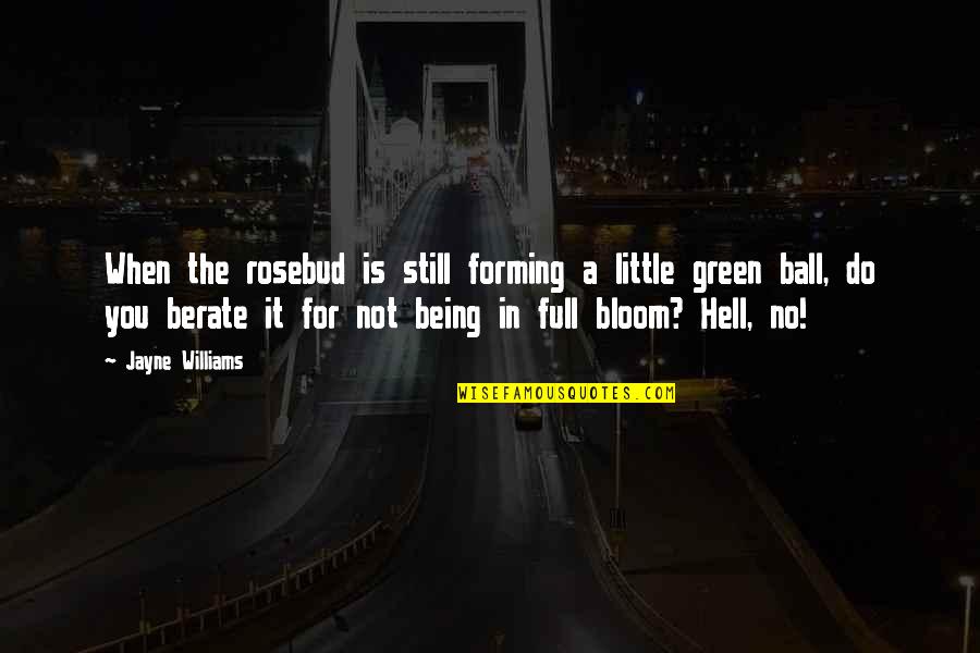 Berate Quotes By Jayne Williams: When the rosebud is still forming a little Berate Quotes By Jayne Williams: When the rosebud is still forming a little