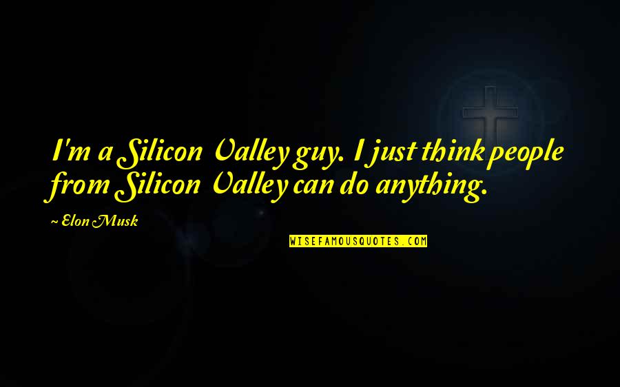 Berberich Construction Quotes By Elon Musk: I'm a Silicon Valley guy. I just think