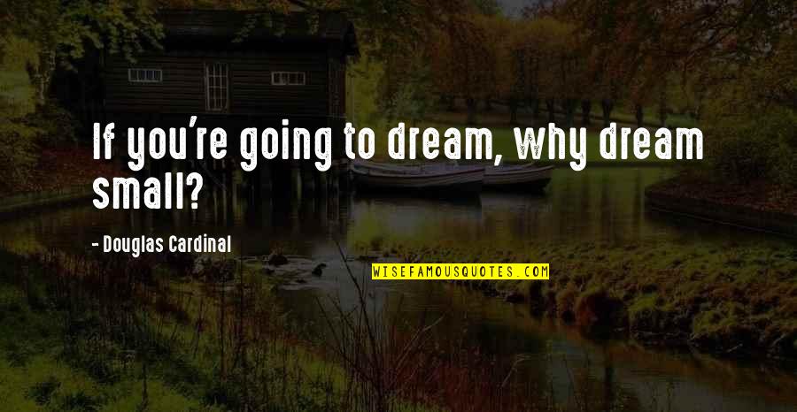 Berckenbosch Quotes By Douglas Cardinal: If you're going to dream, why dream small? Berckenbosch Quotes By Douglas Cardinal: If you're going to dream, why dream small?