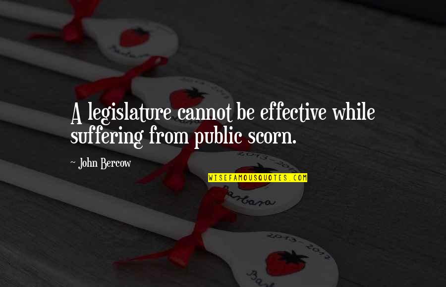 Bercow Quotes By John Bercow: A legislature cannot be effective while suffering from