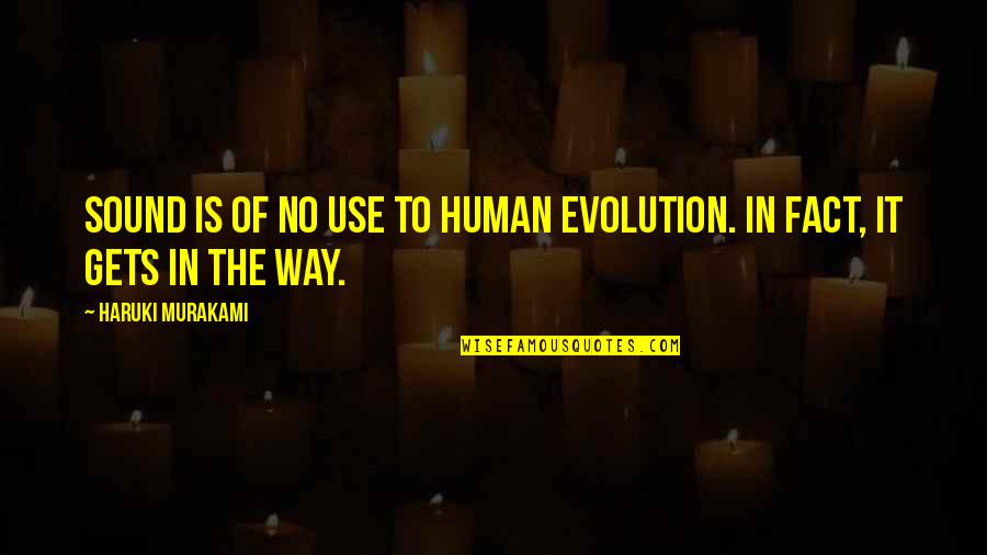 Berdegue Quotes By Haruki Murakami: Sound is of no use to human evolution.