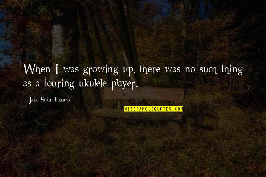 Bereaved Quotes By Jake Shimabukuro: When I was growing up, there was no