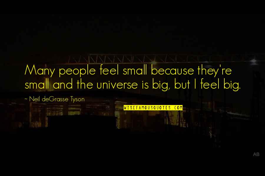 Bereaved Quotes By Neil DeGrasse Tyson: Many people feel small because they're small and