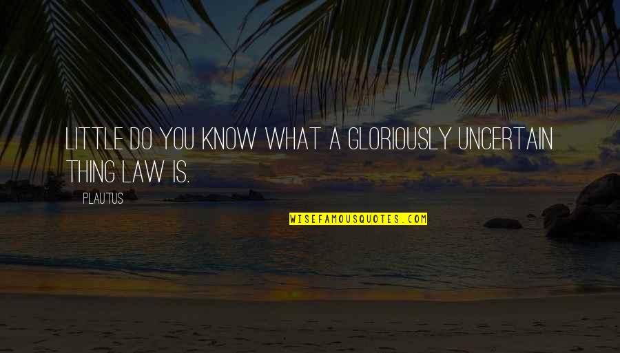 Berenene Quotes By Plautus: Little do you know what a gloriously uncertain