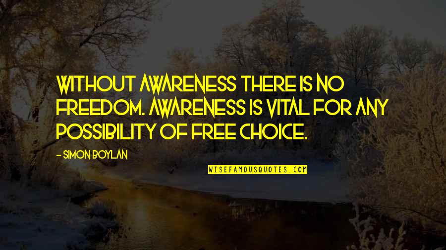 Berezina Quotes By Simon Boylan: Without awareness there is no freedom. Awareness is
