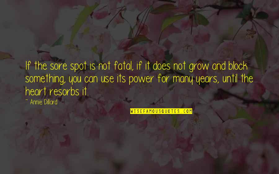 Berezovsky Villa Quotes By Annie Dillard: If the sore spot is not fatal, if Berezovsky Villa Quotes By Annie Dillard: If the sore spot is not fatal, if