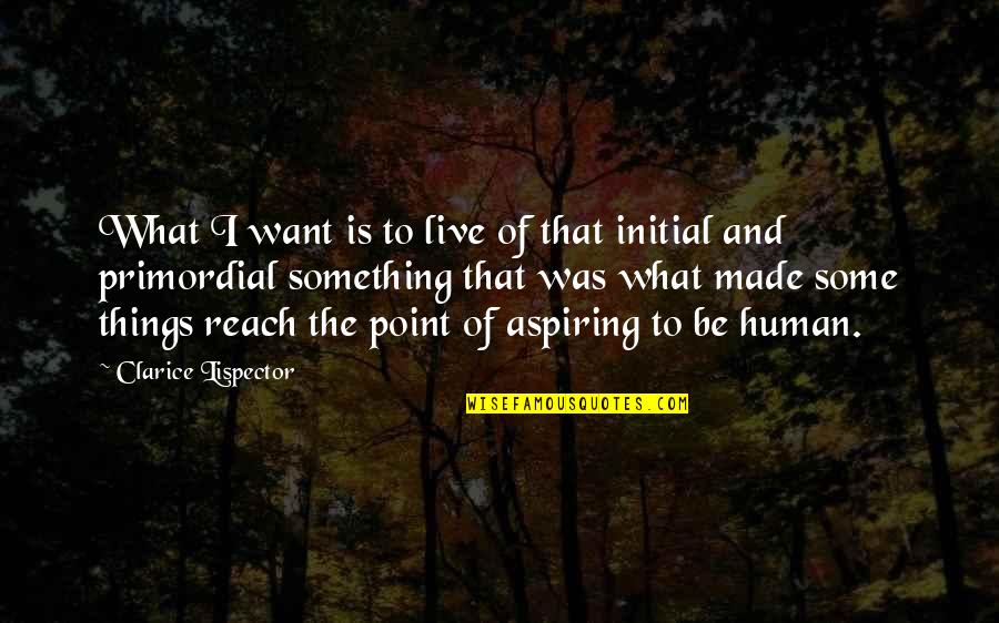 Bergan Travel Quotes By Clarice Lispector: What I want is to live of that