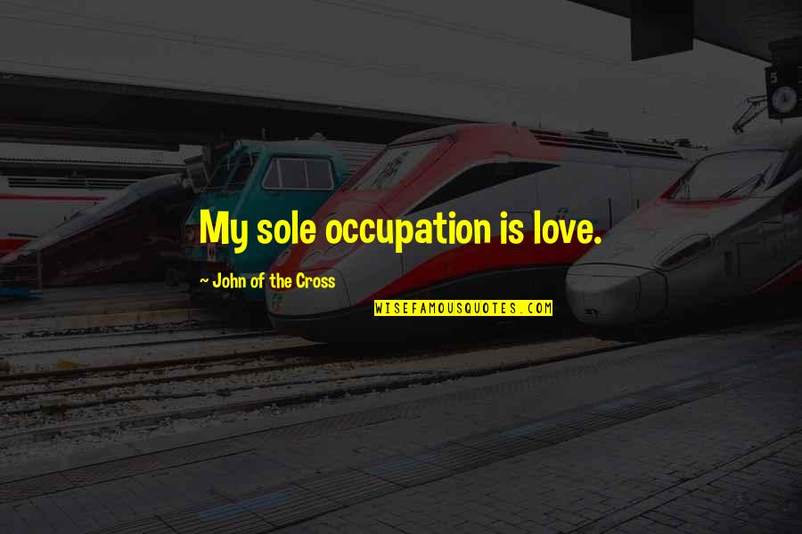 Berghauer Germany Quotes By John Of The Cross: My sole occupation is love.